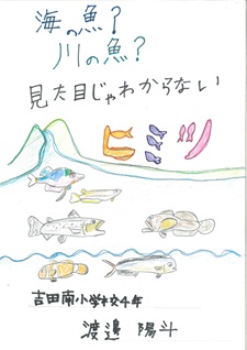 海 の魚？川 の魚？ 見た目じゃわからないヒミツ